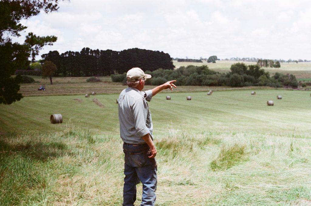 man wearing gray long-sleeved shirt on green grass field
